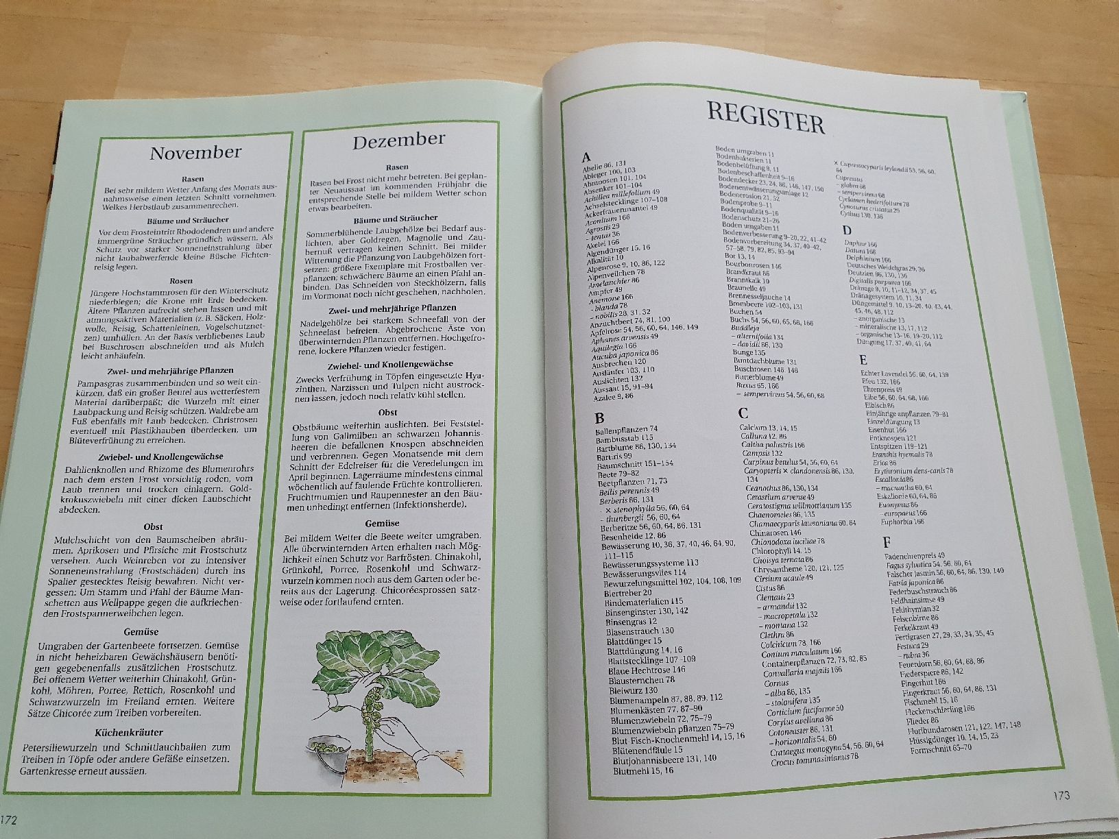 Libri: Gartenarbeit leichtgemacht – Usato da Niedergösgen venduto da Sabina6355 4