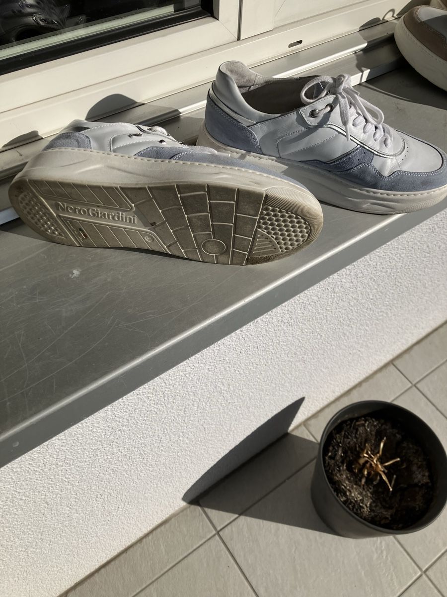 Scarpe da donna: Nero Giardini Sneakers 41 – Usato da Unterengstringen venduto da Cipsi 4