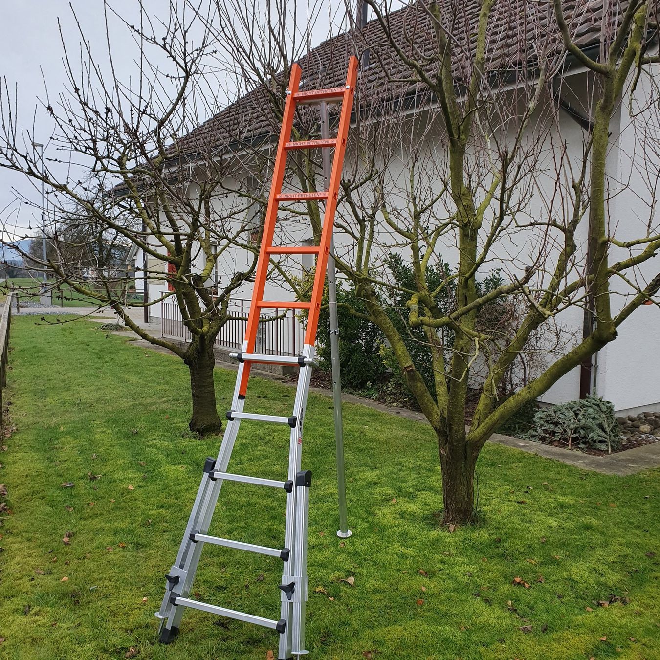 Scale: Teleskop-Buschbaumleiter – Nuovo e nell'imballaggio originale da Sommeri venduto da Schnegglis 3