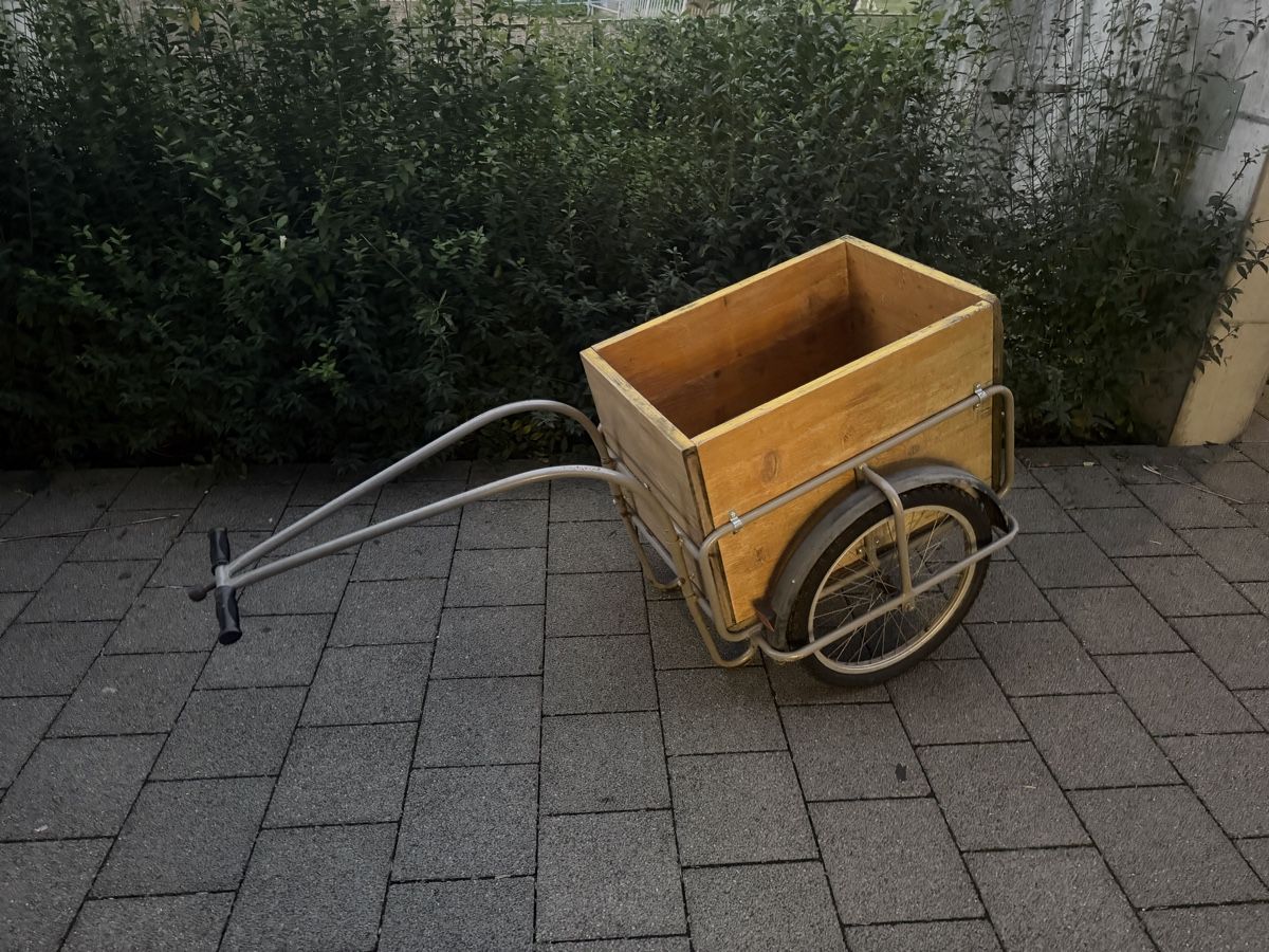 Rimorchi: Mofa Töffli Velo Anhänger – Usato da Reiden venduto da Second