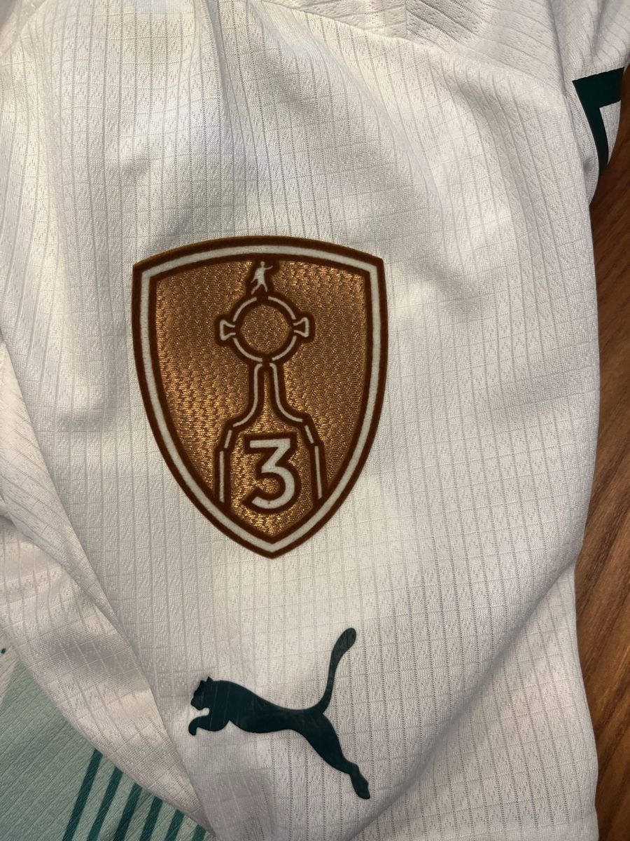 Canottiere & Pantaloni: Trikot Palmeiras Endrick #9 – Usato da Besenbüren venduto da eri_j8j6 3