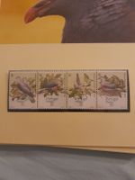 Collection Timbres Portugal Madère - Pigeon Trocaz NEUF!