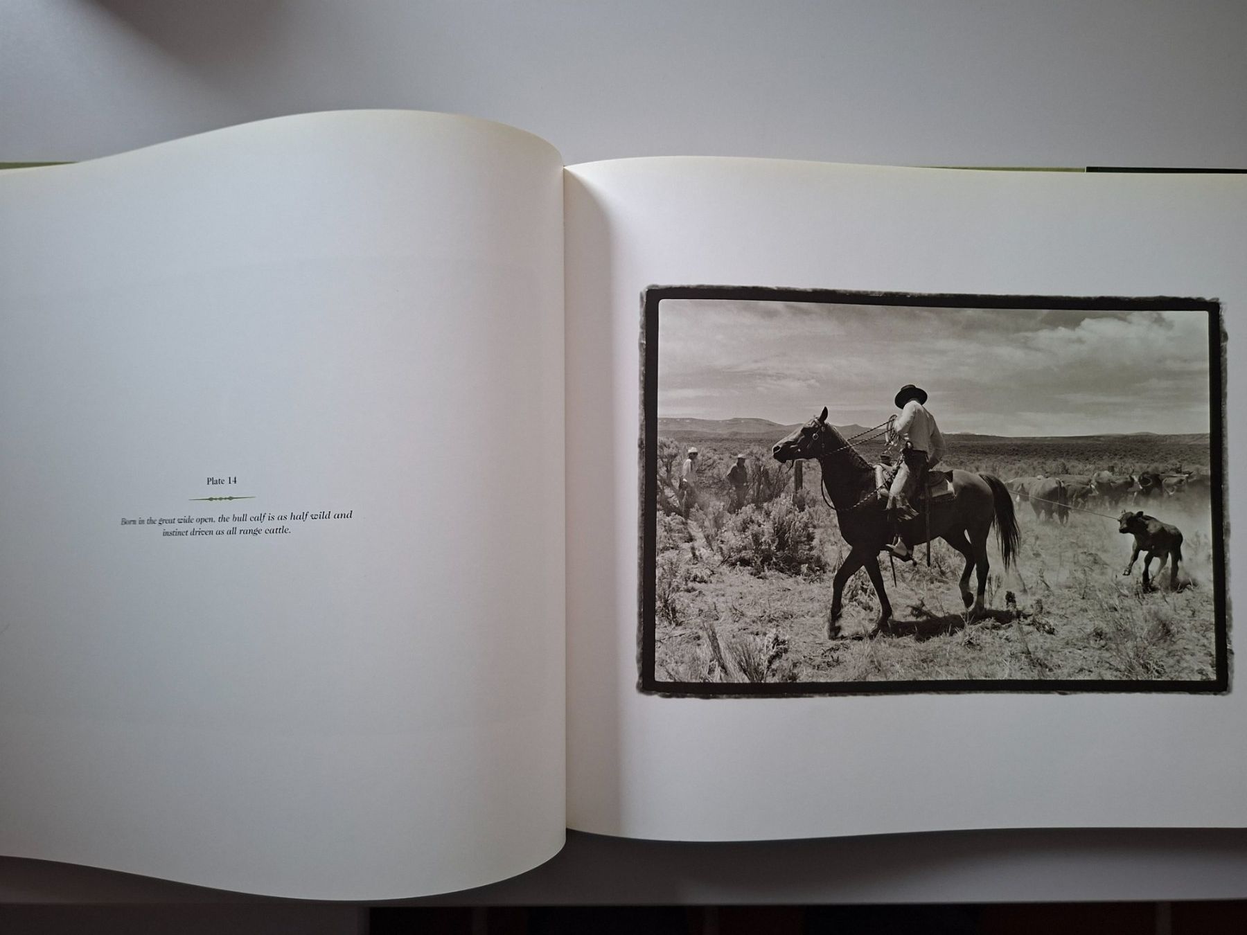 Libri: Buch "Gathering Remnants: A Tribute to the Working Cowboy" – Usato da Boniswil venduto da Totomat-Lady2 5