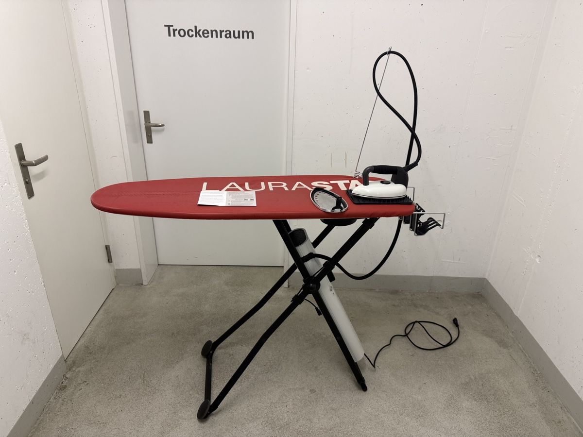 Laurastar Bügeleisen: Laurastar Go+  – Gebraucht aus Zürich von elihaf