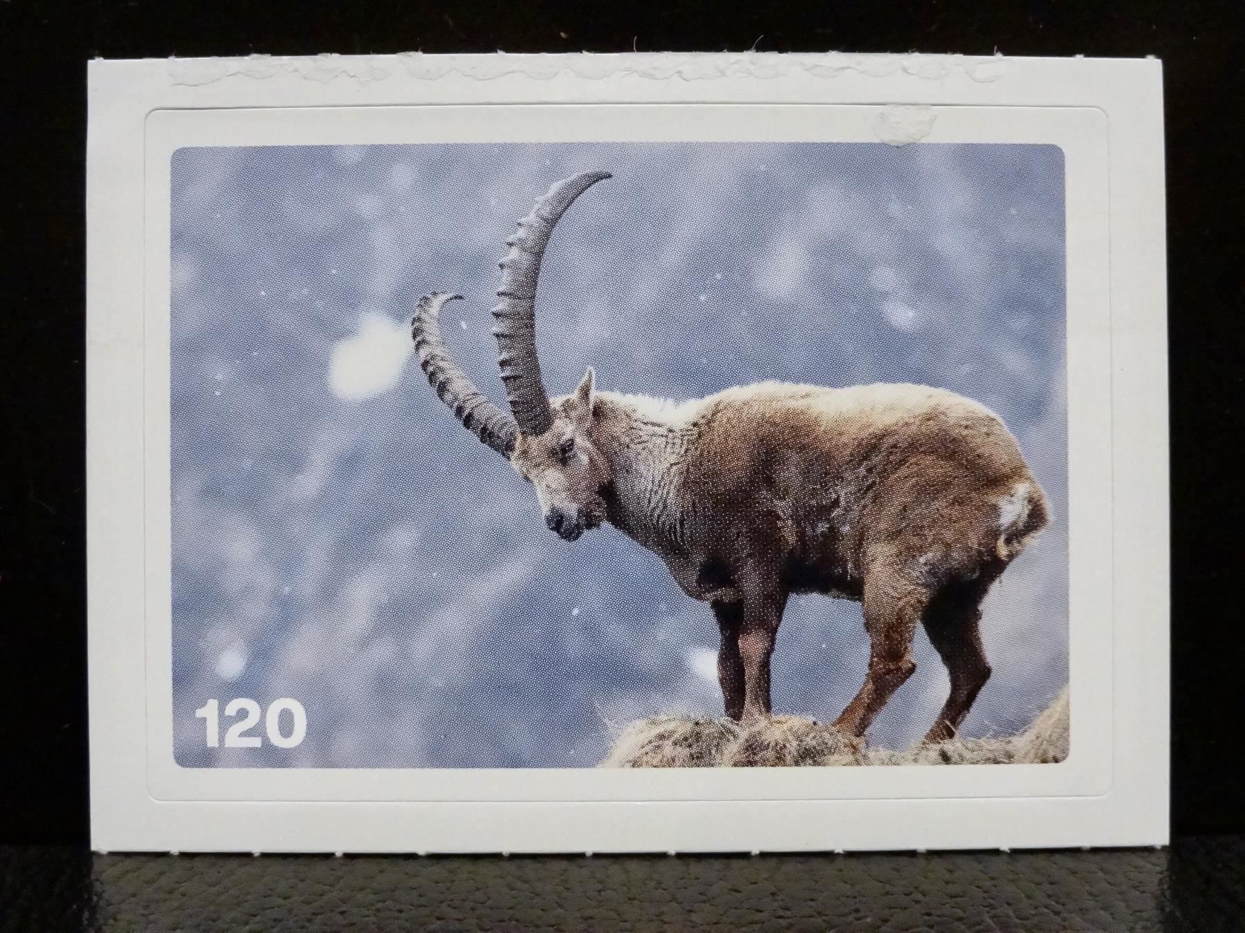 Migros Carte collezionabili: MIGROS MANIA Nature Detectives Nr. 120 – Nuovo e nell'imballaggio originale da Kerzers venduto da zimmergruen