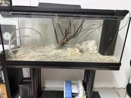Aquamarin