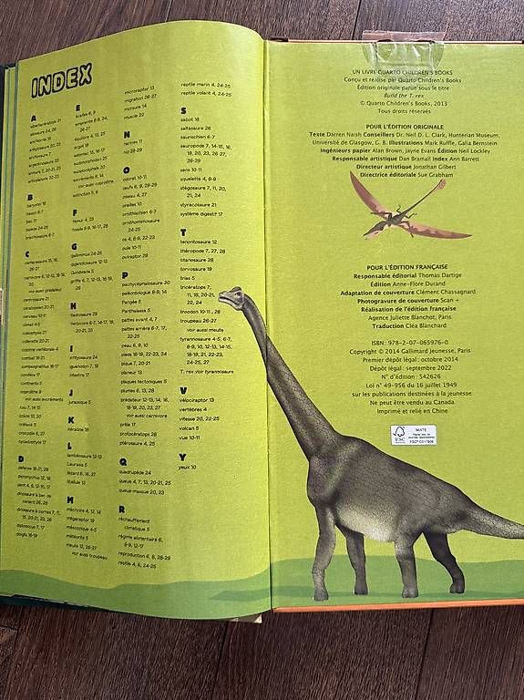 Libri: Maquette à construire du T Rex 75cm – Usato da Lausanne venduto da nat_h2gw 2