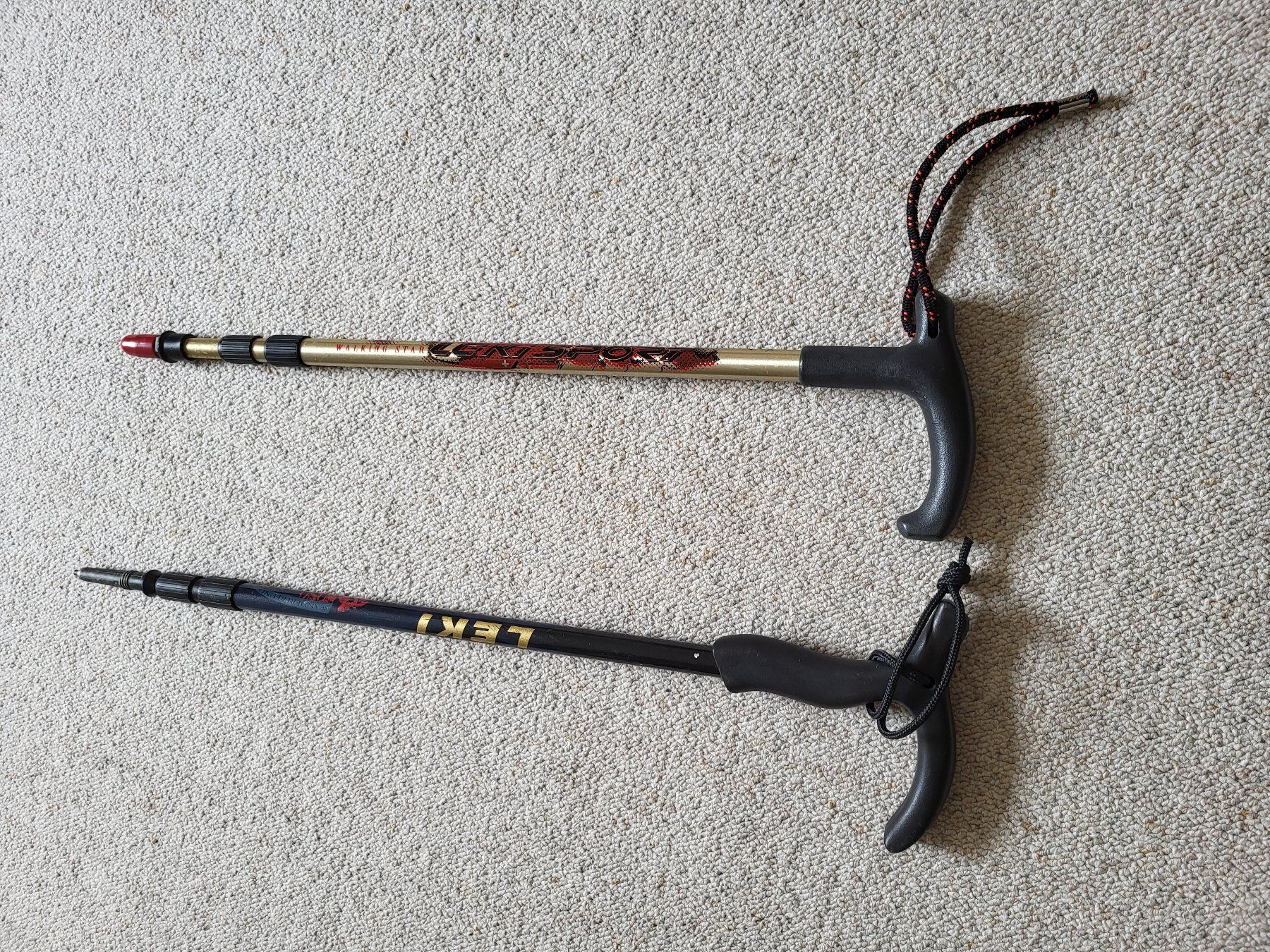 Kletterausrüstungen: 2x Wanderstöcke (hiking sticks) – Gebraucht aus Wettingen von  9