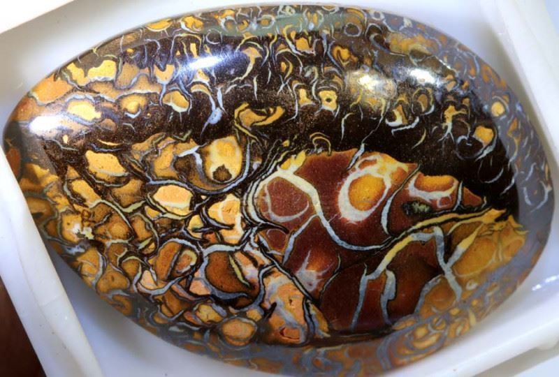 Pietre preziose: Australischer Boulder Opal 57.60Cts. – Nuovo (secondo la descrizione) da Bern venduto da Grindelwaldaus
