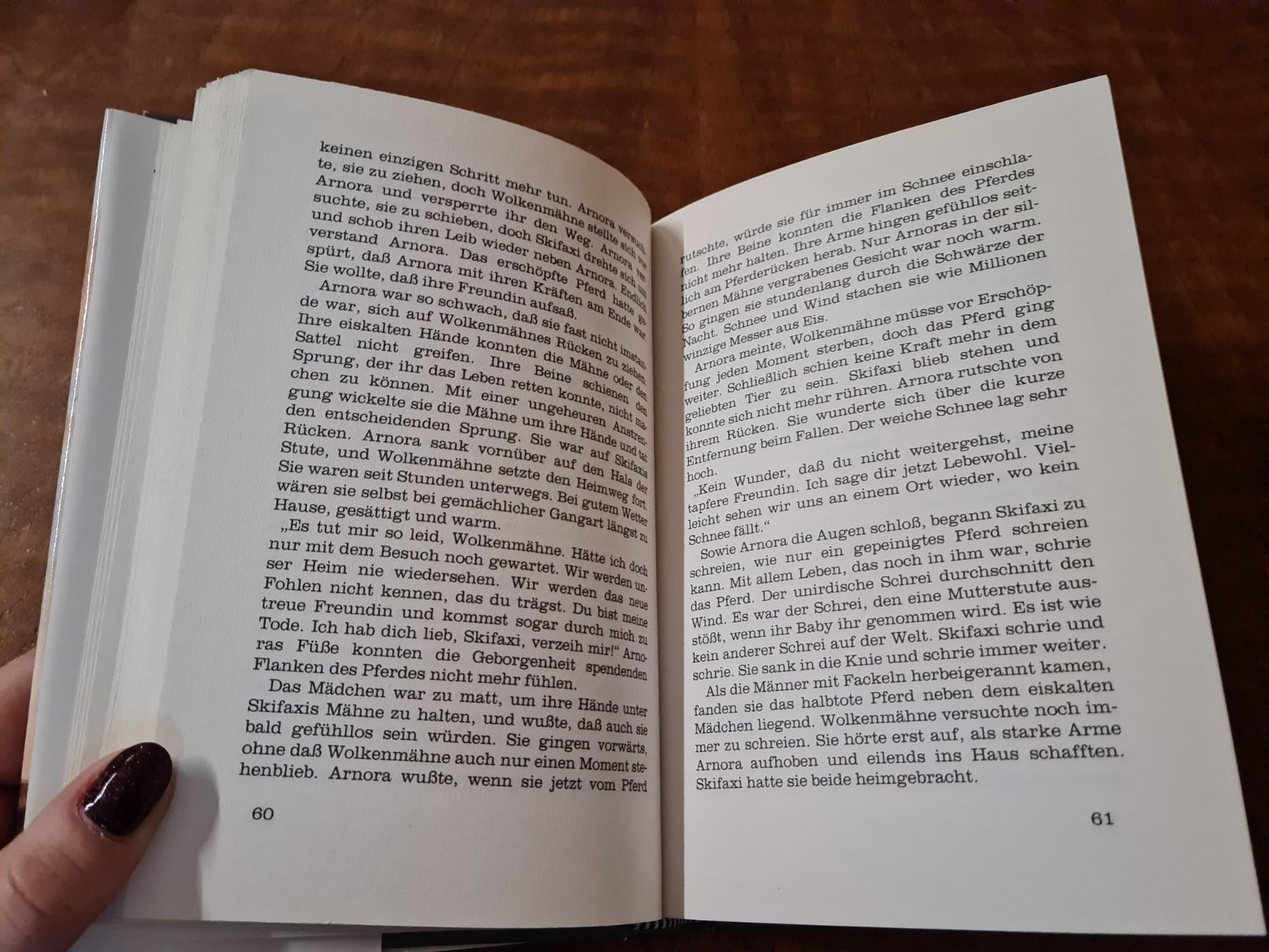 Libri: Die Wolkenpferde – Usato da Erstfeld venduto da Uhu1980 4