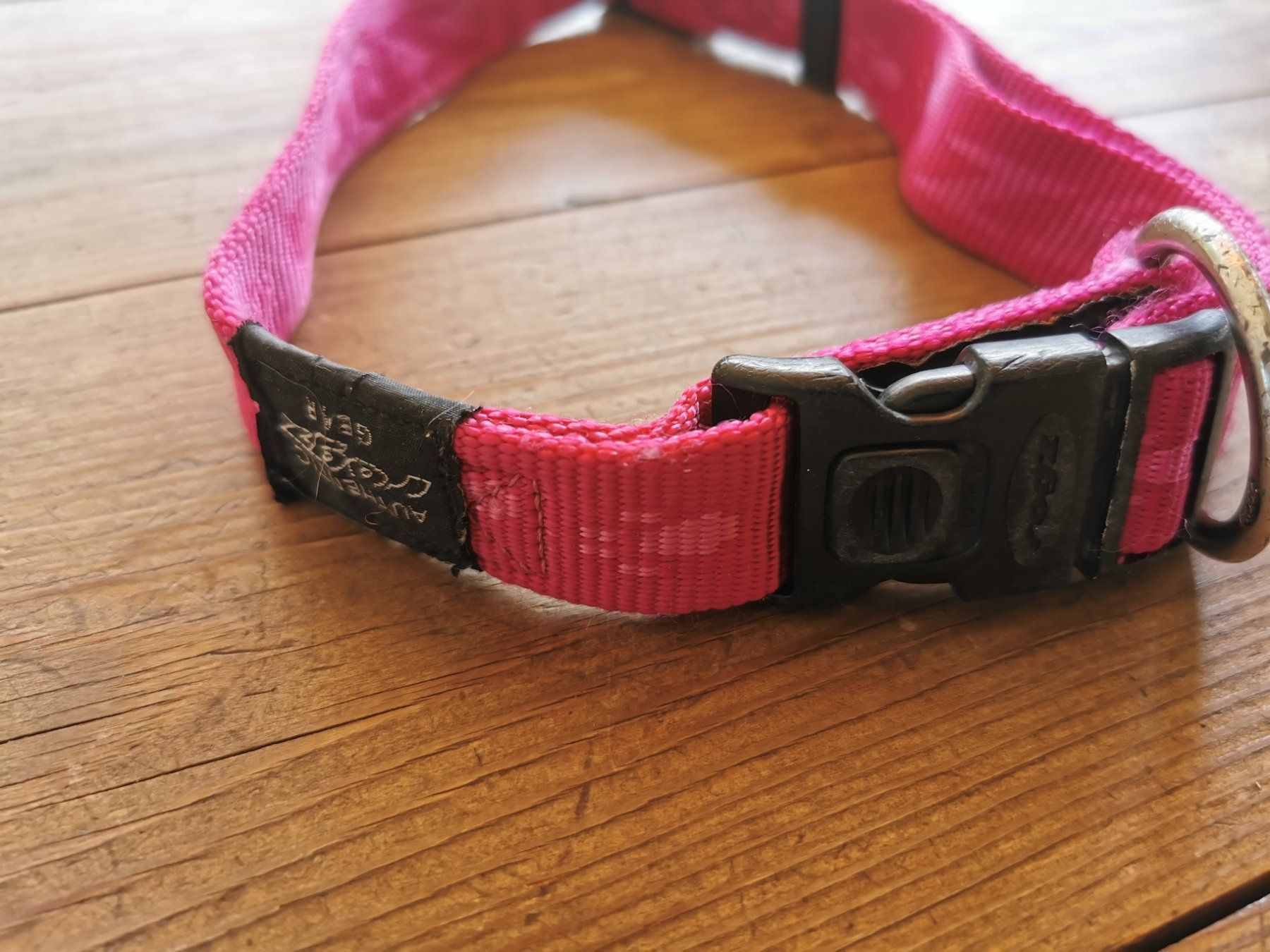 Guinzagli & Collari: Hundehalsband – Usato da Wettingen venduto da Nini54