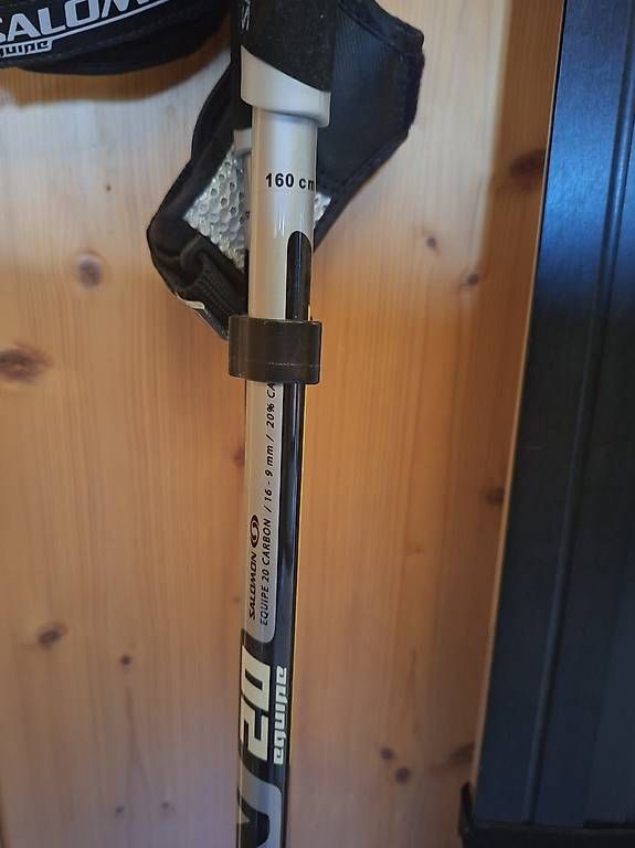 Sci: Skating Salomon 186cm – Usato da Dorénaz venduto da did_cc7v 1
