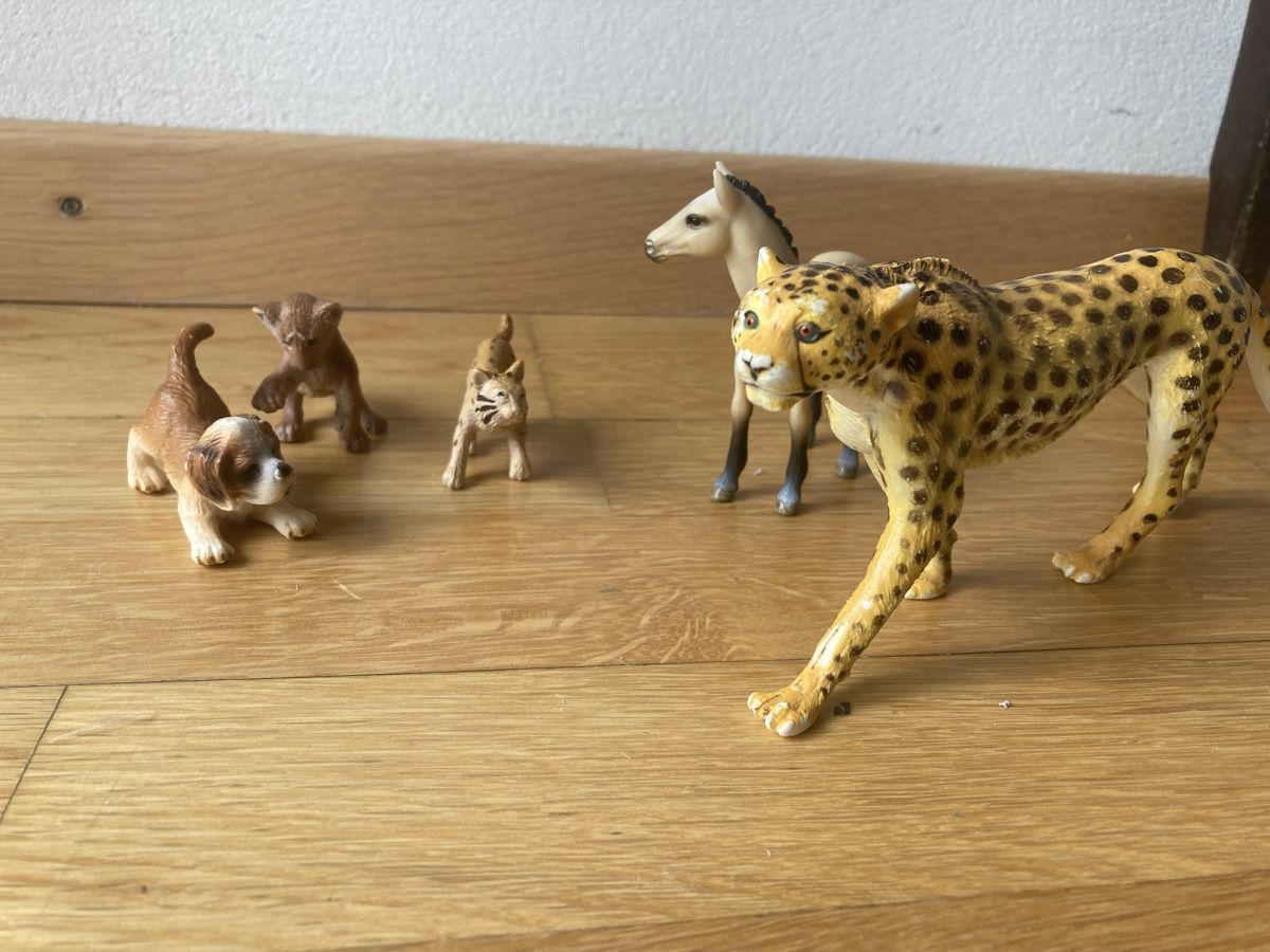 Schleich Figuren: Schleich Tier Model set – Neu (gemäss Beschreibung) aus sion von orchikorchik 9