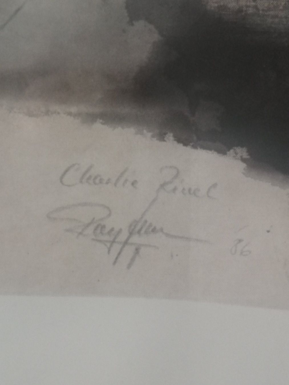 Foto & Immagini: Bild von Rolf Knie: Charlie – Usato da Hinterkappelen venduto da 1399 1