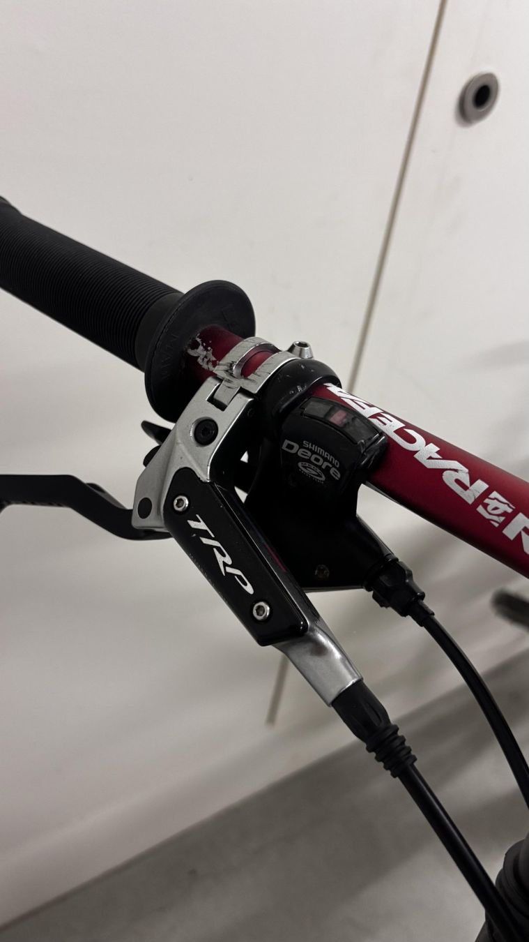 Biciclette: Morewood Downhillbike – Usato da Aarburg venduto da tr1p 5