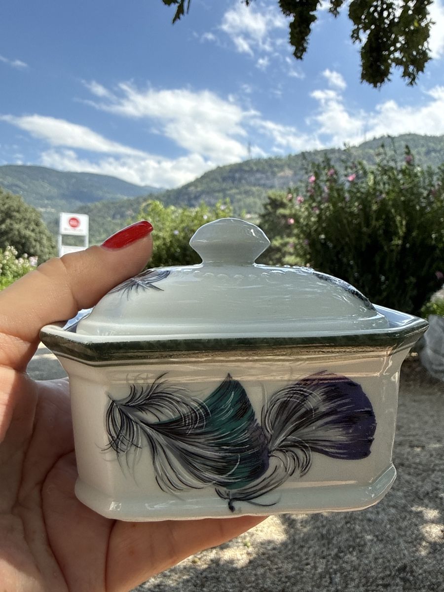 Altre Stoviglie: Mini Beurrier / Boîte / Terrine Vintage Limoges - Deshoulièr – Usato da Grône venduto da ukr_2qbg