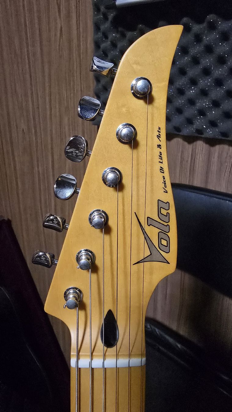Strumenti musicali: Vola Vasti MC – Nuovo (secondo la descrizione) da Biel/Bienne venduto da StarkyGuitarTv 1