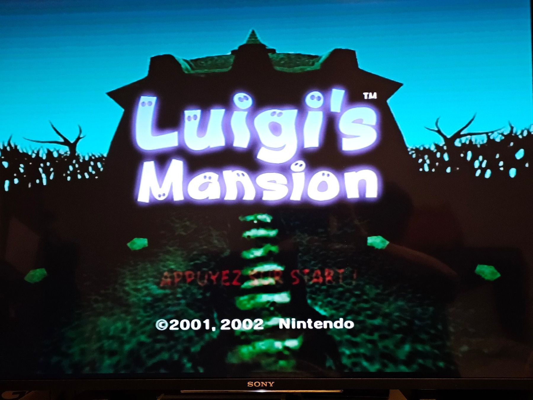 Nintendo Spiele: Jeu Gamecube - Luigi's Mansion - PAL – Gebraucht aus Attalens von  4