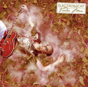 CD: Electronicat – Voodoo Man - Vergriffen! - a – Usato da Brittnau venduto da Zibu