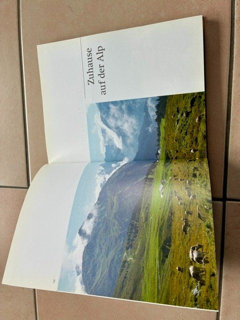 Libri: Buch Alpechuchi (Martin Bienerth) – Nuovo (secondo la descrizione) da Surava venduto da Kopfsache 2