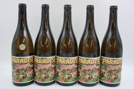 5x Paradis Punch Sauvignon Blanc (26093061Z)