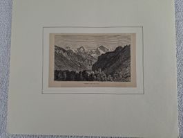 Lot 43 , 5 Stiche 