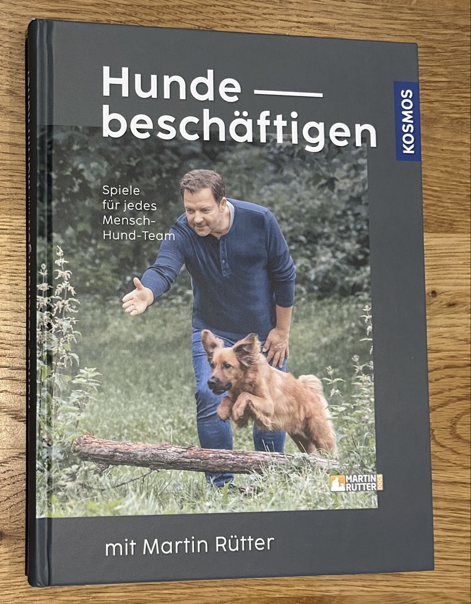 Libri: Martin Rütter, Hunde beschäftigen – Usato da Kreuzlingen venduto da bernerin85