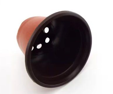 Vasi per fiori: 50x Pflanztopf Anzuchttopf 10cm – Nuovo e nell'imballaggio originale da Dintikon venduto da Prime-shop 1
