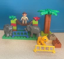 Duplo 2 kleine Elefanten, kleiner Löwe und Hängebrücke