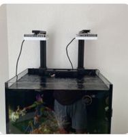 2x AI Hydra 32HD inkl Mounting Kit
