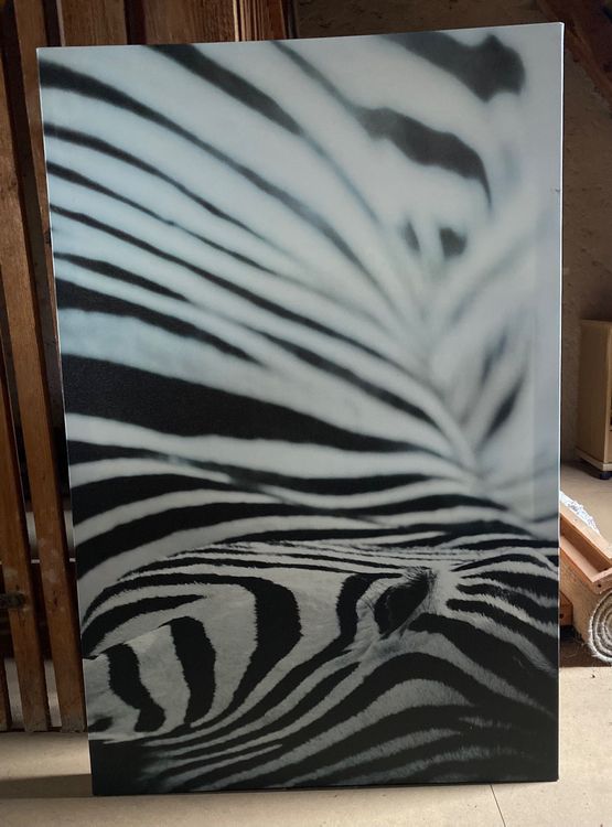 Zebra IKEA BILD: A Comprehensive Guide to the Digital Art Frame that Brings Your Photos to Life