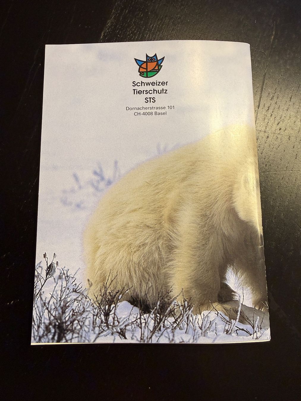 Libri: Mach's gut, Eisbär! Ein wunderschönes Kinderbuch. Top! – Usato da Erstfeld venduto da Mario_boe0 4