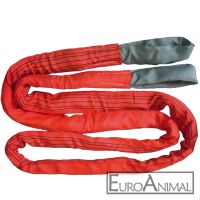 Abschleppseil 10m 35t
