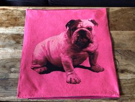 Zierkissen englische Bulldogge - 67x70cm - TOP Qulaität