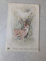 TIERE AM WALDRAND SJW Heft Nr 712 Carl Stemmler-Morath
