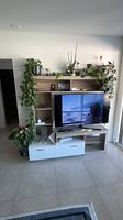 Mobile TV