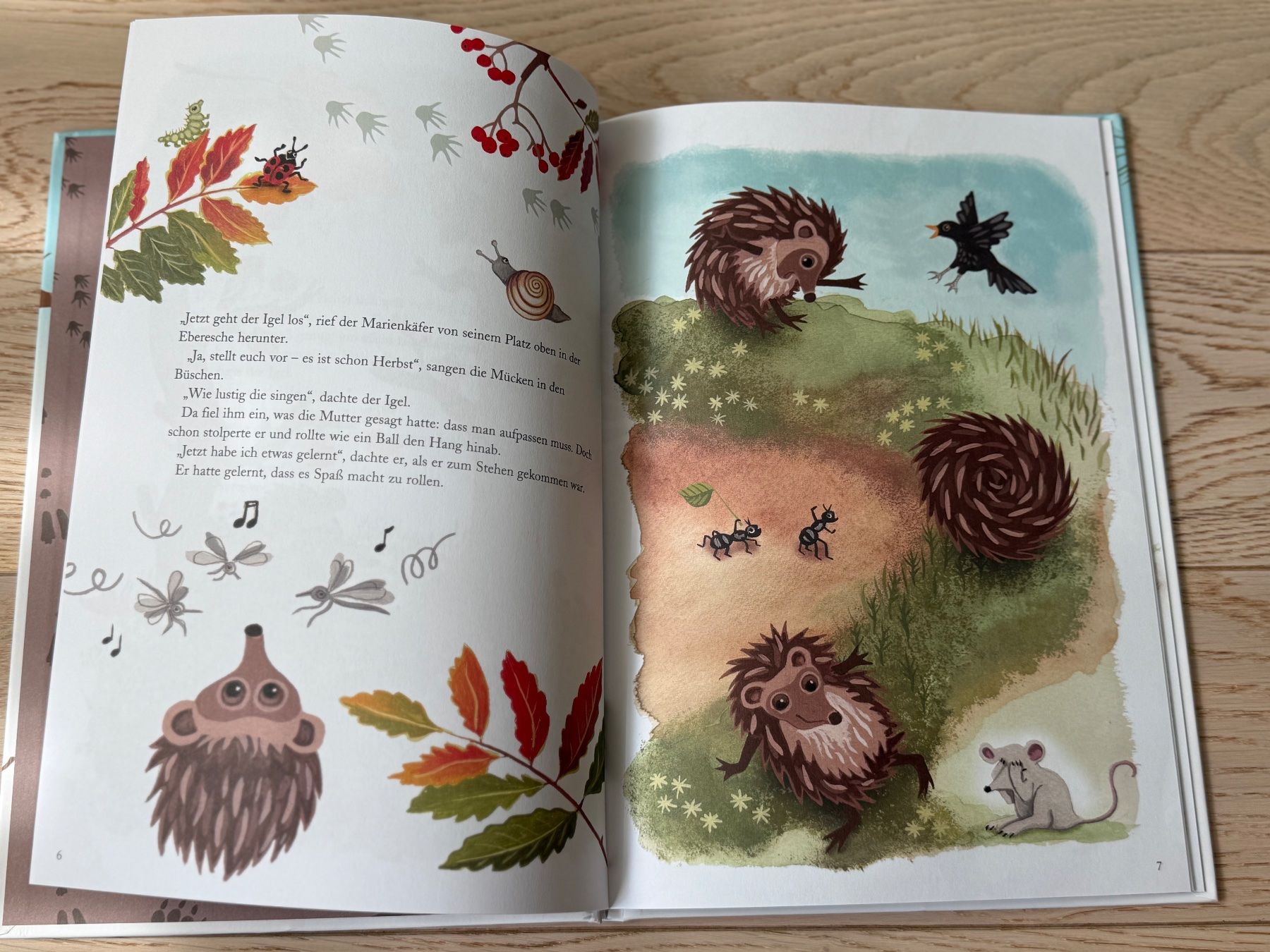 Libri: Kinderbuch "Der Igel kommt allein zurecht" – Usato da Hirzel venduto da Dream-Box 1