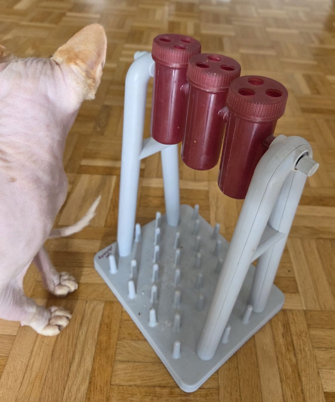 Trixie Spielzeuge: Katzenspielzeug Cat Activity Turn around – Neu (gemäss Beschreibung) aus Sennhof (Winterthur) von Hirnschmadder-1 3