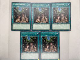 Yu-Gi-Oh! Schlangenregen ANGU-DE051 Deutsch Rare 1. Auflage