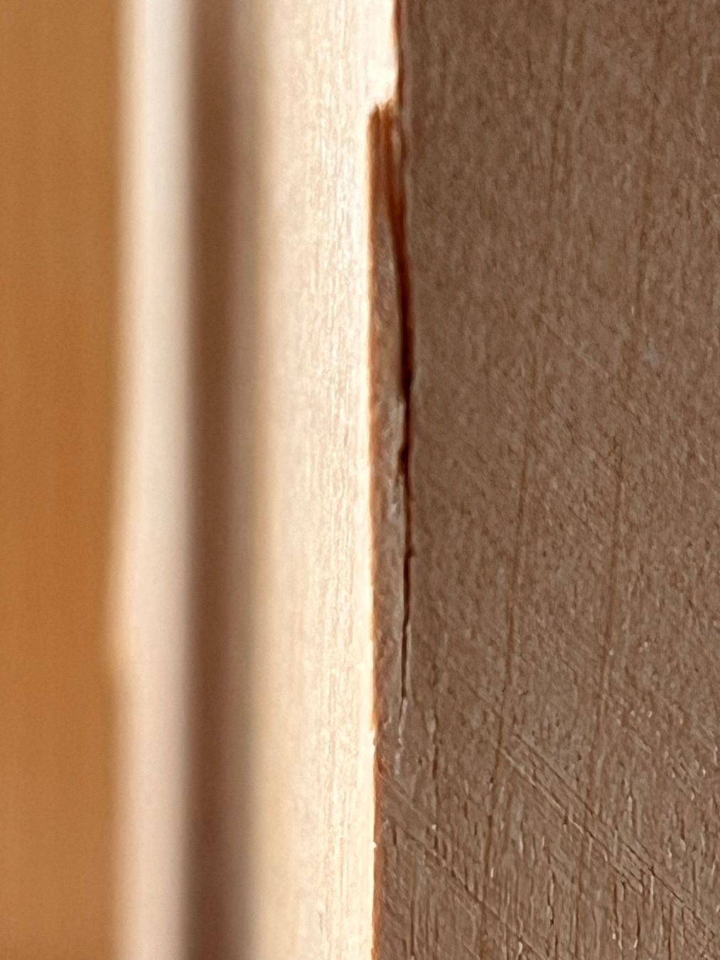 Altro in Decorazioni & Accessori: WWF Buchstützen Holz – Usato da Saanen venduto da Tricha02 2