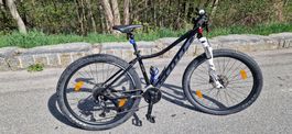 Mountainbike Contessa 710