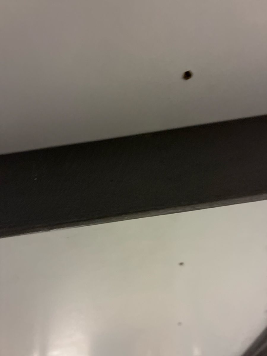 Piatti di portata: tischplatte/mit Kabeldurchlass evtl. Vitra – Usato da Dagmersellen venduto da casatualiq 4
