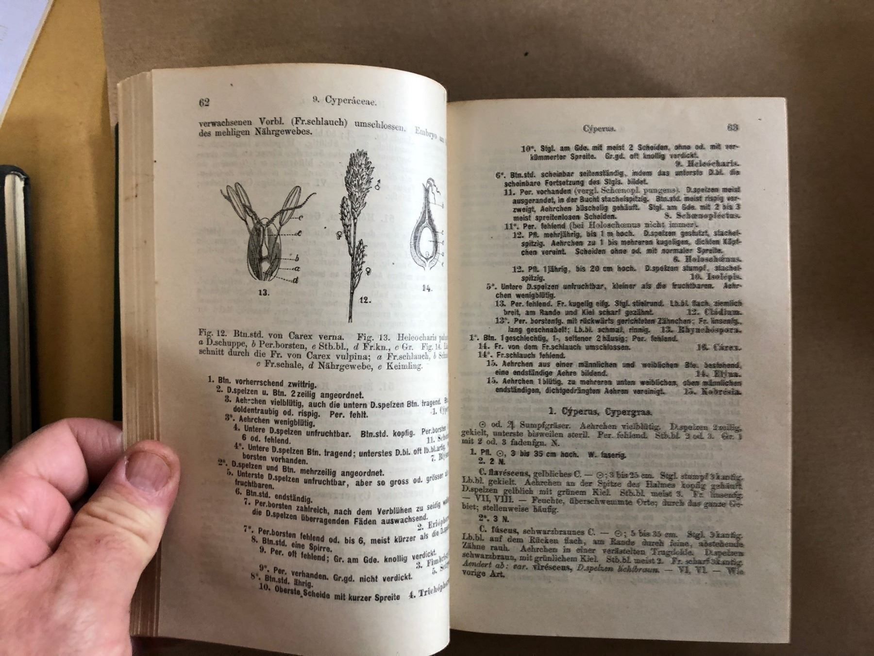Bücher: H. Schinz/R. Keller: Flora der Schweiz – Gebraucht aus Zürich von allp 3