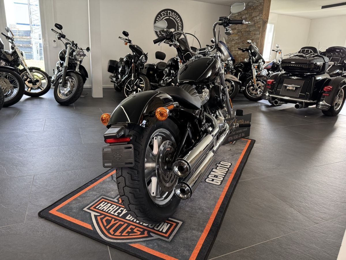 Harley-Davidson Chopper: Harley Davidson FXST Softail Standard 107 LEASING POSSIBLE – Usato da Echallens venduto da HD90 2