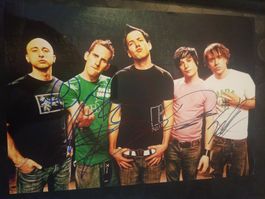 Simple Plan  - handsigniert 20x30cm - persönlich gesammelt