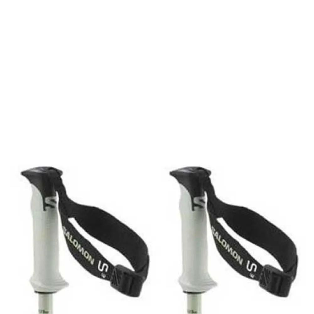 Salomon Skistöcke: Salomon Ski Poles – Neu und originalverpackt aus Zürich von bar_96nx