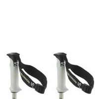 Salomon Ski Poles