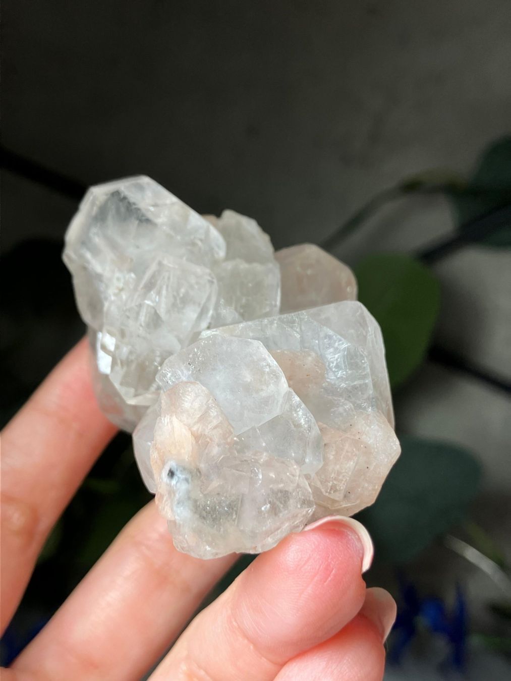Mineralien & Heilsteine: Apophyllit mit Stilbit – Neu (gemäss Beschreibung) aus Neuheim von m.hald 4