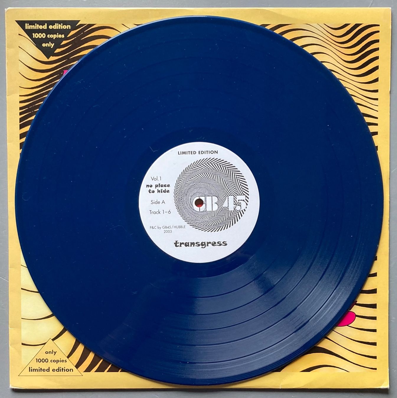 Vinyles: TRANSGRESS - NO PLACE TO HIDE – D'occasion à Poliez-Pittet par Newtown-Records