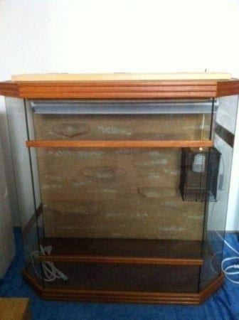 Terrario: Terrarium, Topzustand – Nuovo (secondo la descrizione) da Einsiedeln venduto da Brocki59 5